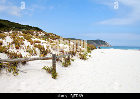 Skqueaky beach, Wilsons Promontory National Park, Victoria, Australia Foto Stock