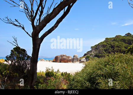 Skqueaky beach, Wilsons Promontory National Park, Victoria, Australia Foto Stock