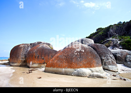 Spiaggia stridulo, Wilsons Promontory National Park, Victoria, Australia Foto Stock