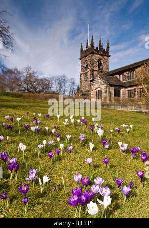 Crochi davanti alla Basilica di San Bartolomeo la chiesa Parrocchiale, Wilmslow, Cheshire, Inghilterra, Regno Unito Foto Stock