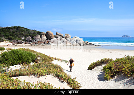 La baia di whiskey, Wilsons Promontory National Park, Victoria, Australia Foto Stock