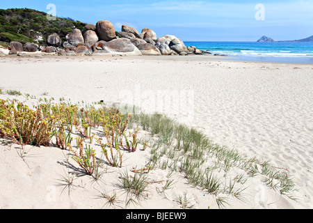 La baia di whiskey, Wilsons Promontory National Park, Victoria, Australia Foto Stock