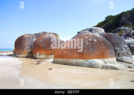 Skqueaky beach, Wilsons Promontory National Park, Victoria, Australia Foto Stock