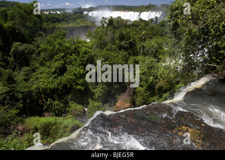 Guardando verso il basso dalla parte superiore della cascata bosseti sul circuito superiore il sentiero nel Parco Nazionale di Iguazu Repubblica argentina Foto Stock