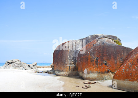 Spiaggia stridulo, Wilsons Promontory National Park, Victoria, Australia Foto Stock