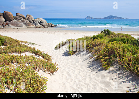La baia di whiskey, Wilsons Promontory National Park, Victoria, Australia Foto Stock