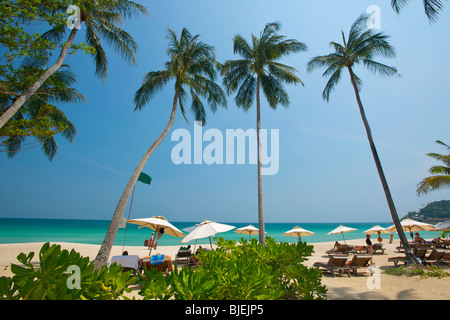 Palm Beach, la spiaggia di Chaweng, Ko Samui, Tailandia Foto Stock