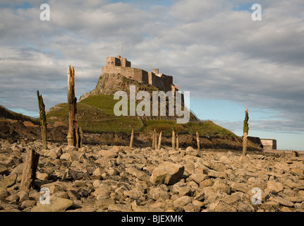 Lindisfarne Castle, Isola Santa, Northumberland, a nord-est dell' Inghilterra nel tardo pomeriggio Foto Stock