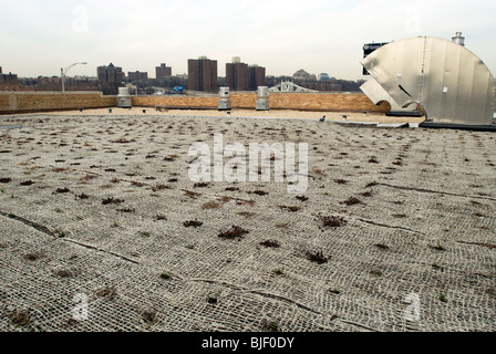 Appena installato sul tetto verde del Power House building in Mill Pond Park di New York borough del Bronx Foto Stock