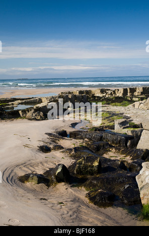 Vista del Northumberland coast, a nord-est dell' Inghilterra che mostra calcare antiche formazioni rocciose Foto Stock