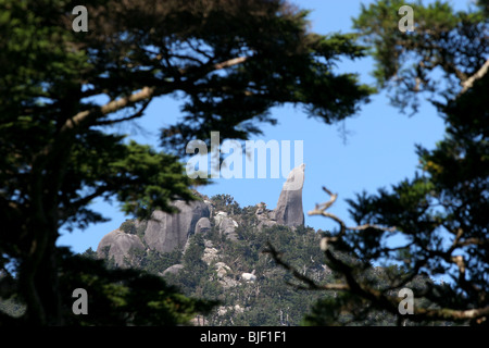 Il 40m alto Tenchuseki boulder, sulla cima della montagna Tatchudake, Yakushima Island, Giappone. Foto Stock