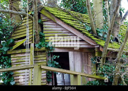 Un muschio coperto tree house sulla banca del Oxford Canal vicino Heyford inferiore, Oxfordshire Foto Stock