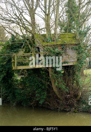 Un muschio coperto tree house sulla banca del Oxford Canal vicino Heyford inferiore, Oxfordshire Foto Stock