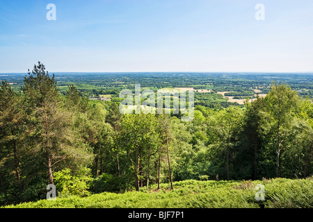 Regno Unito campagna, Surrey Weald vista verso South Downs del Sussex dalla sommità di Leith Hill, Surrey, England, Regno Unito Foto Stock