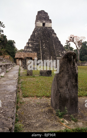 Rovine maya di tempio che io, tempio del Grand Jaguar, grande Plaza del sito Patrimonio Mondiale dell'UNESCO di Tikal- Tikal, Guatemala Foto Stock