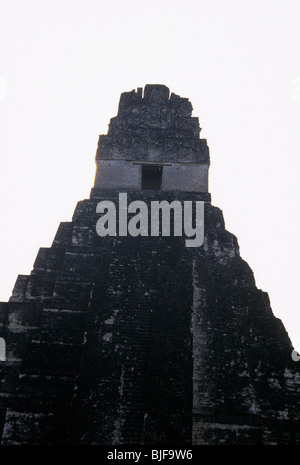 Rovine maya di tempio che io, tempio del Grand Jaguar, grande Plaza del sito Patrimonio Mondiale dell'UNESCO di Tikal- Tikal, Guatemala Foto Stock