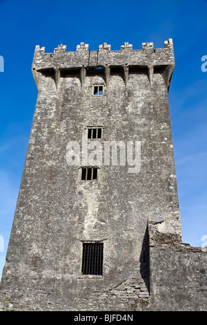 Blarney Castle in Co.Cork, Repubblica di Irlanda, casa della famosa Blarney Stone Foto Stock