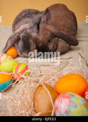 Due conigli pasquali con dipinti a mano le uova di Pasqua Foto Stock