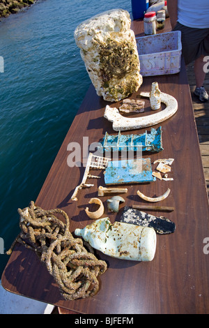 Campioni di plastica e i rifiuti raccolti nel North Pacific Gyre. Long Beach, California, Stati Uniti d'America. Foto Stock