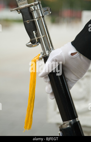 Chiusura del fucile in corrispondenza di modifica delle protezioni presso il Santuario dei Martiri, Taipei, Taiwan ROC Foto Stock