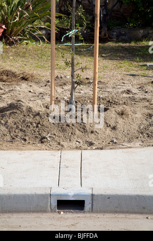 Elmer Avenue quartiere progetto Retrofit aiuterà a gestire acqua piovana e ridurre le inondazioni e l'inquinamento dell'acqua. Los Angeles Foto Stock