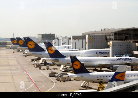 Piani Lufhansa all'aeroporto di Frankfurt am Main, Germania Foto Stock