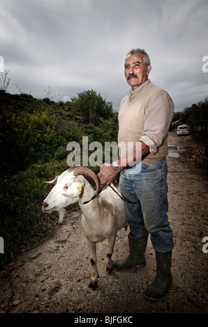 Capre allevamento ovino agricoltore Gozo Malta fattoria maltese Foto Stock