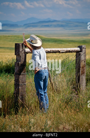 Cowboy controllo INDICATORE PIOGGIA Foto Stock