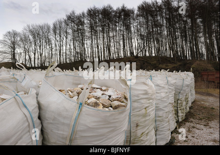 Rifiuti conchiglie prima di essere gettati in mare, Kirkcudbright, SW Scozia Scotland Foto Stock