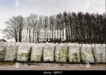 Rifiuti conchiglie prima di essere gettati in mare, Kirkcudbright, SW Scozia Scotland Foto Stock