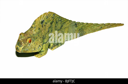 Un Iguana statuetta scolpito in pietra. (Nero naturale e green crystal serpentine) Foto Stock