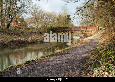 Broad Oak Ponte sul Basingstoke Canal vicino Odiham, Hampshire, Regno Unito Foto Stock