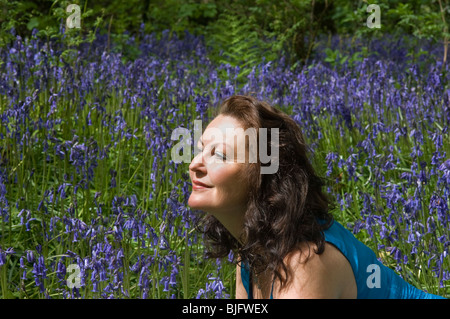 Legno di Bluebell Foto Stock