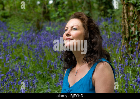 Legno di Bluebell Foto Stock