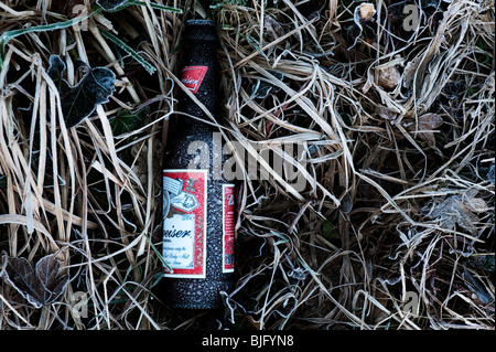Coperto di brina birra Budweiser bottiglia in erba congelati disseminate su una strada Foto Stock