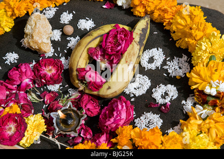 Offerta rituale. Tempio di Shiva. Kolayat. Il Rajasthan. India Foto Stock