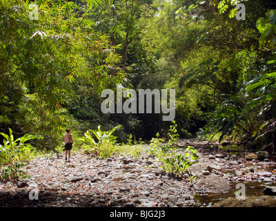 Ragazza camminare lungo il letto asciutto del fiume nei Caraibi la foresta pluviale tropicale tra la lussureggiante vegetazione e alta la coltivazione degli alberi e le felci Foto Stock