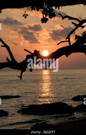 Alba sul Havelock Island Isole Andamane, India Foto Stock