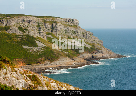 Vista guardando verso est verso Pwll Du testa dalle scogliere Pennard, Penisola di Gower, South Wales, Regno Unito Foto Stock