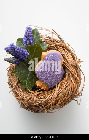 Biscotto di pasqua (viola chick) & uva giacinti nel nido di Pasqua - Foto Stock