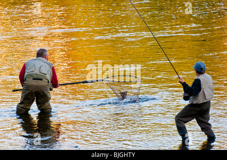 NEW BRUNSWICK, Padre netting Salmone atlantico per il suo ragazzo adolescente sul famoso fiume Miramichi. Foto Stock