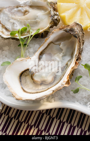Ostriche fresche con il limone sul ghiaccio tritato (close-up) - Foto Stock
