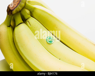 Banane biologiche - Foto Stock