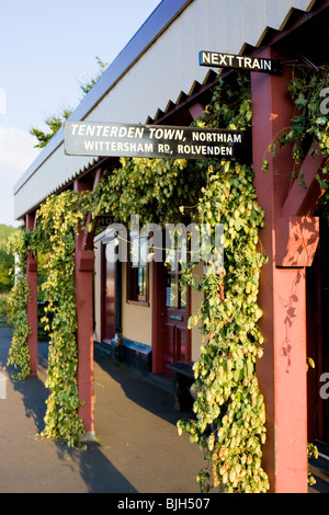 Stazione di Bodiam sulla ferrovia a vapore del Kent & East Sussex, piattaforma con decorazione del Hops, Sussex orientale, Inghilterra meridionale, Regno Unito Foto Stock