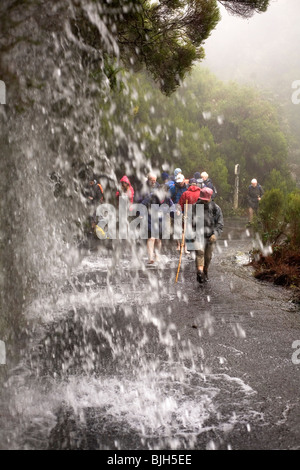 L'acqua cade su un percorso in Madeira. Foto Stock