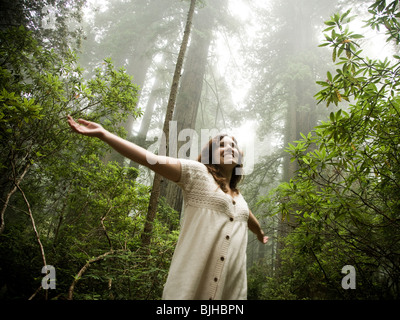 La donna a piedi attraverso una foresta di redwoods gigante Foto Stock