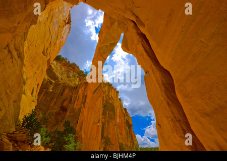 La ventana Arch, Cebolla deserto, Nuovo Messico, nei pressi di El Malpais Monumento Nazionale, grande pietra arenaria naturale arch Foto Stock