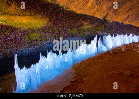Forme di ghiaccio lungo una molla, Arches National Park nello Utah, all'interno della grande grotta in inverno Foto Stock