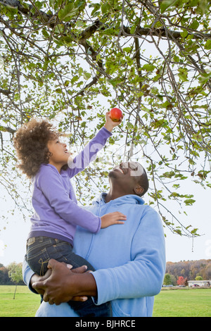 Ragazza giovane prelevare un Apple Foto Stock