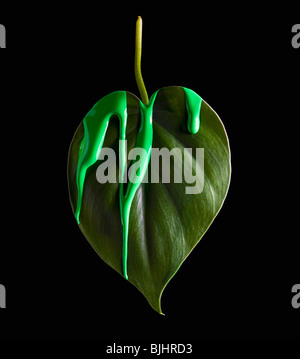 Vernice verde sulla lamina Foto Stock